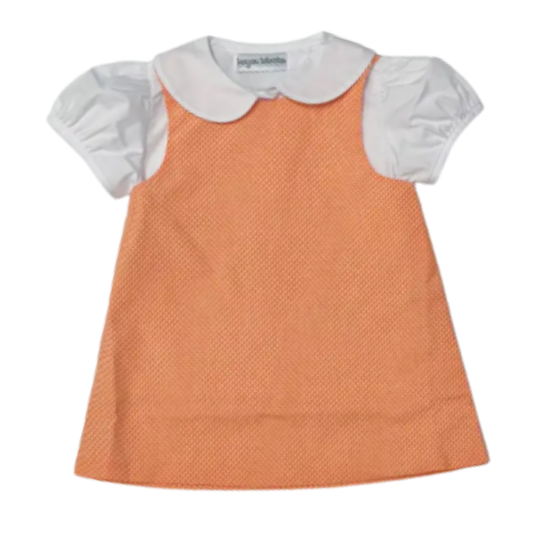 Halloween Pre-Order - Orange Gingham Collared Dress