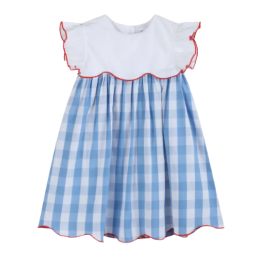Memorial Day Pre-Order - Blue Gingham Patriotic Dress